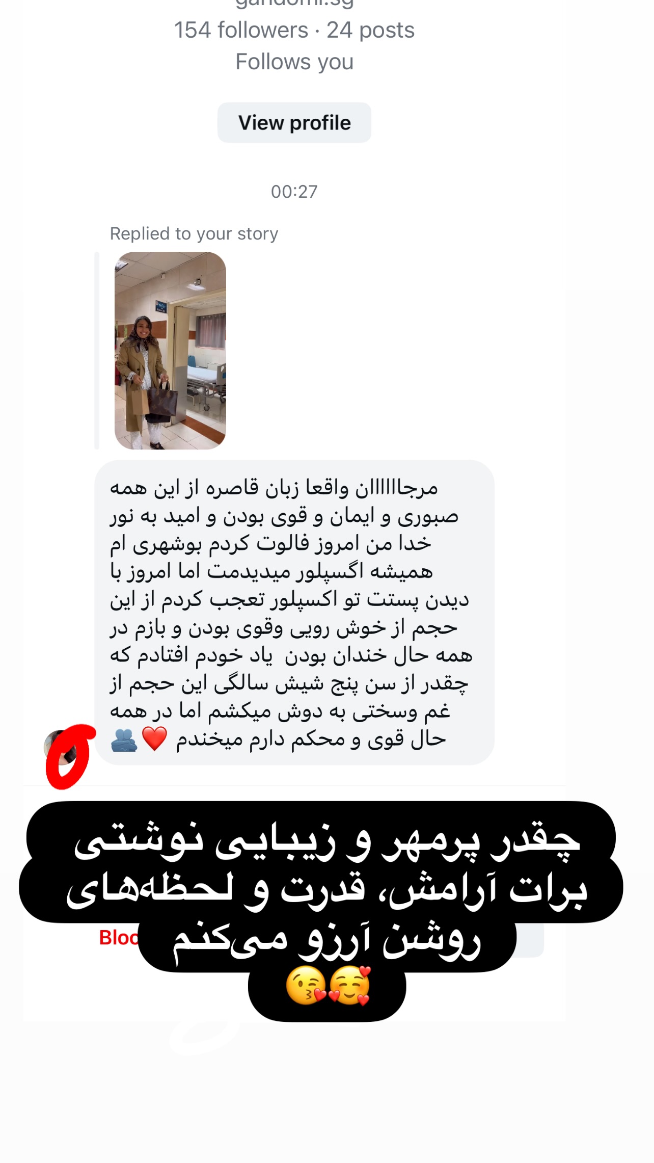  جدید ترین استوری اینستاگرام مرجان ماهینی