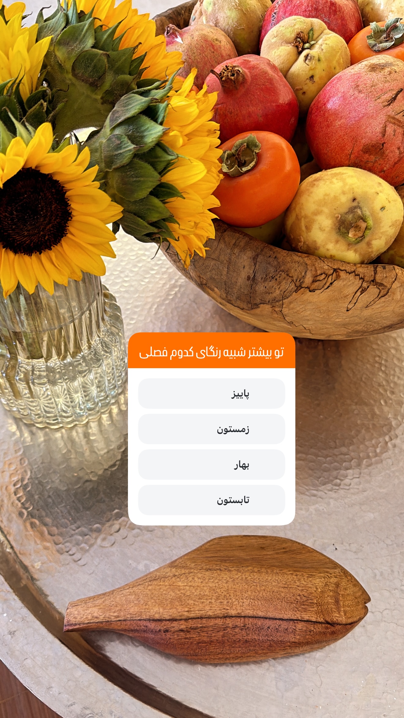  جدید ترین استوری اینستاگرام مرجان ماهینی