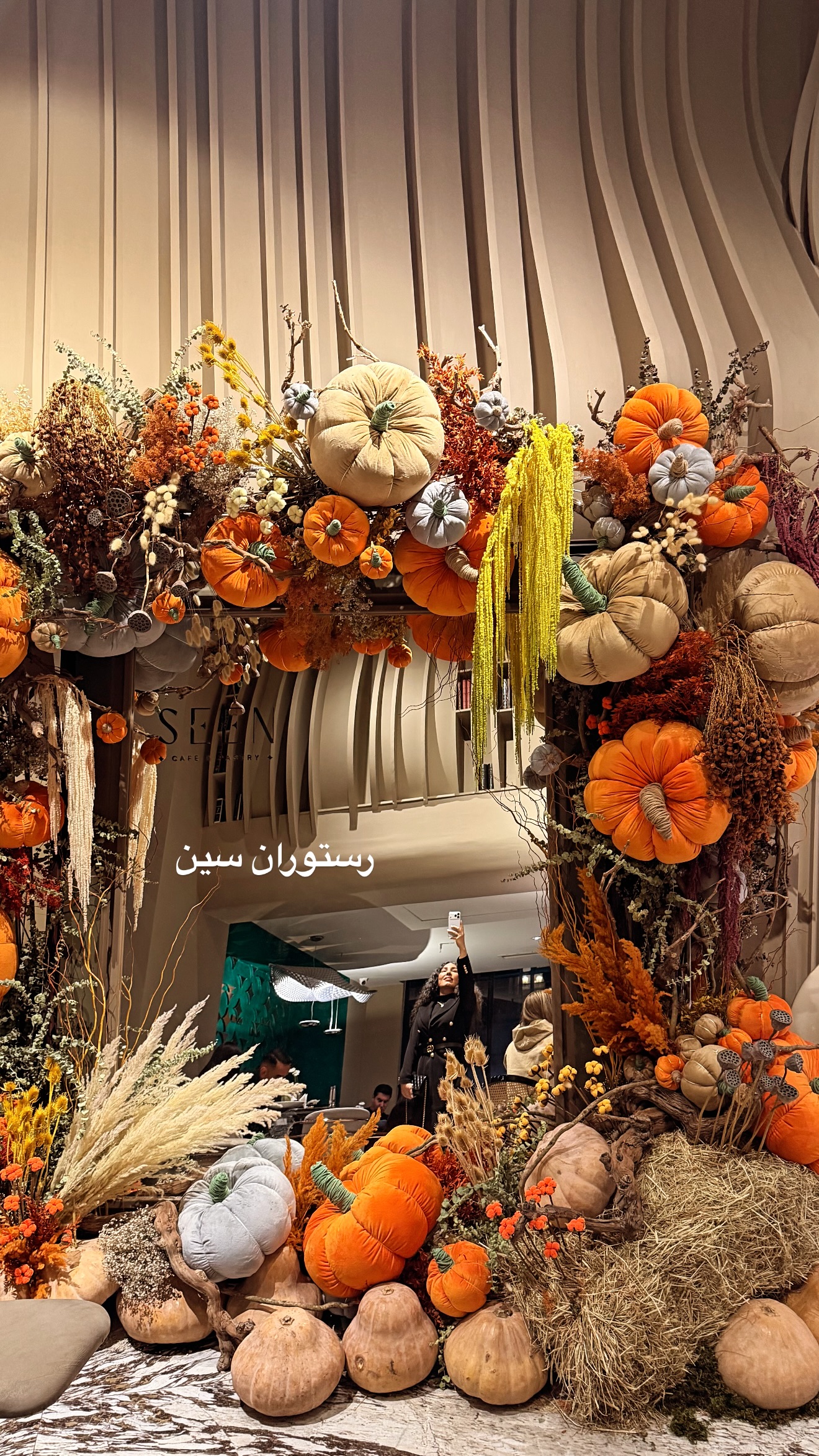  جدید ترین استوری اینستاگرام مرجان ماهینی