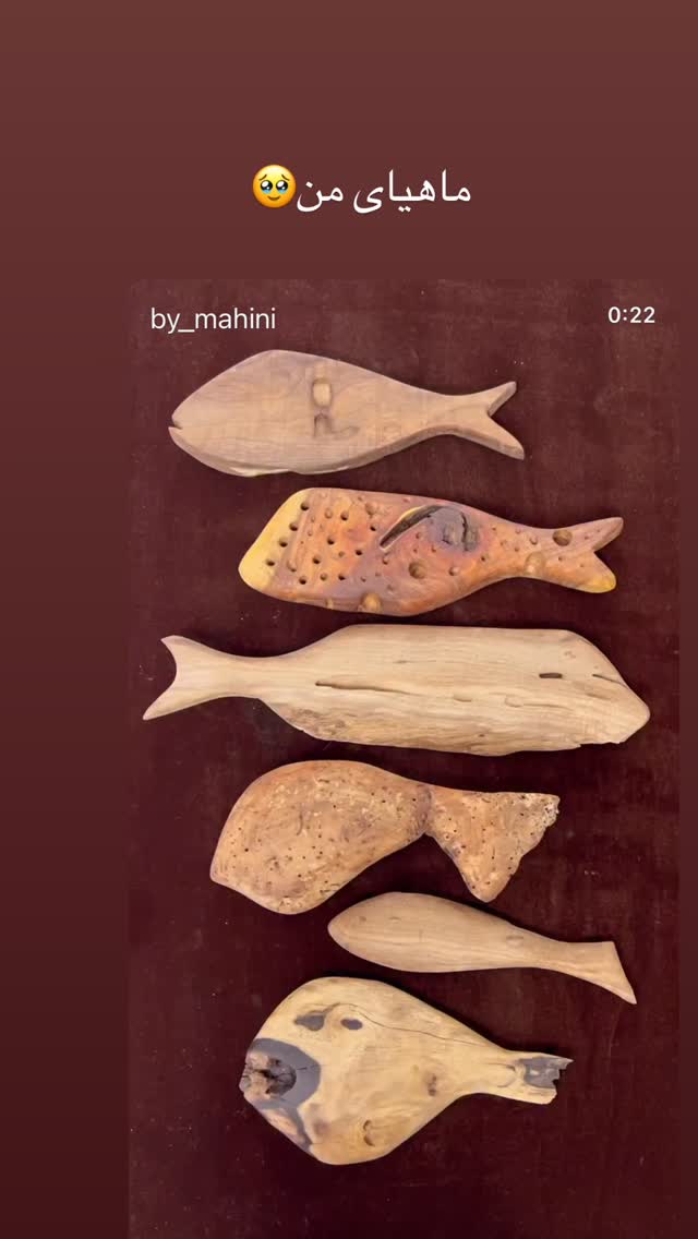  جدید ترین استوری اینستاگرام مرجان ماهینی