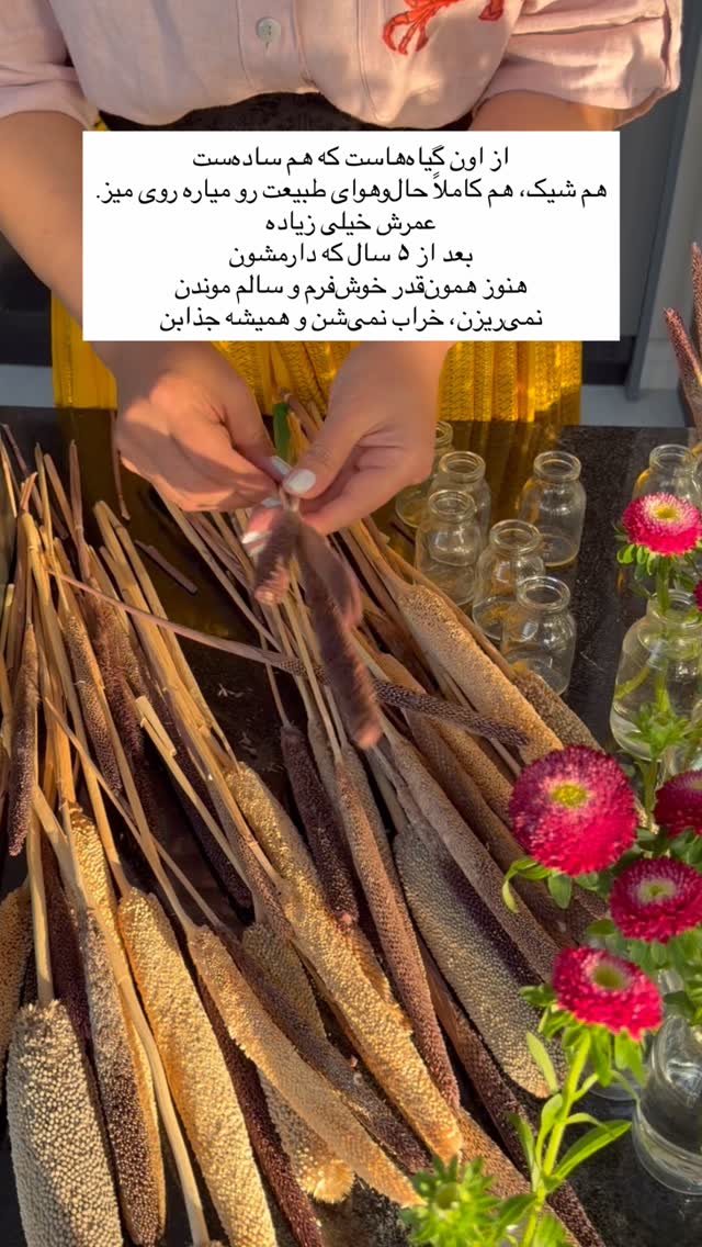  جدید ترین استوری اینستاگرام مرجان ماهینی