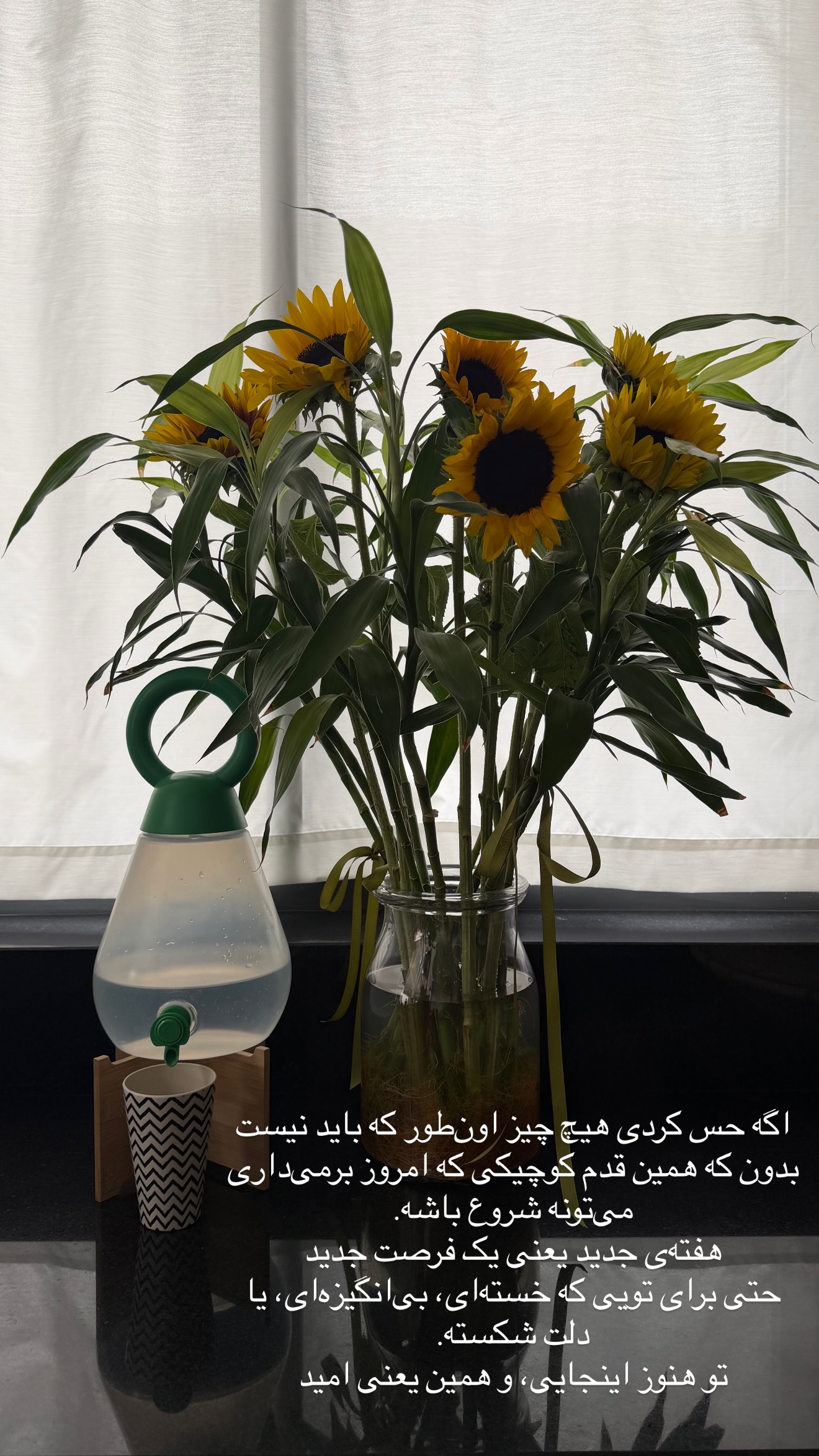  جدید ترین استوری اینستاگرام مرجان ماهینی