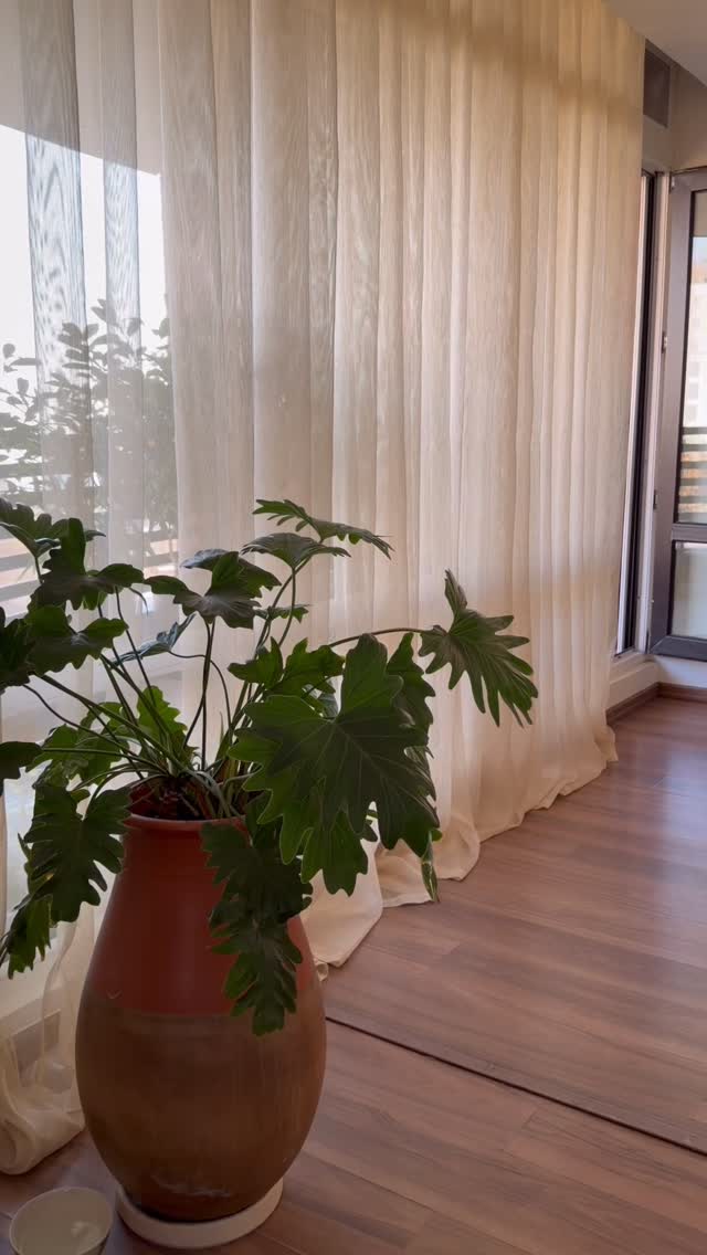  جدید ترین استوری اینستاگرام مرجان ماهینی