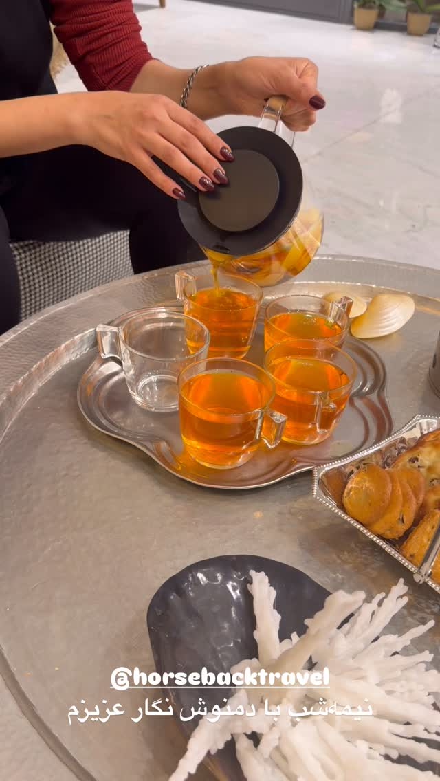  جدید ترین استوری اینستاگرام مرجان ماهینی