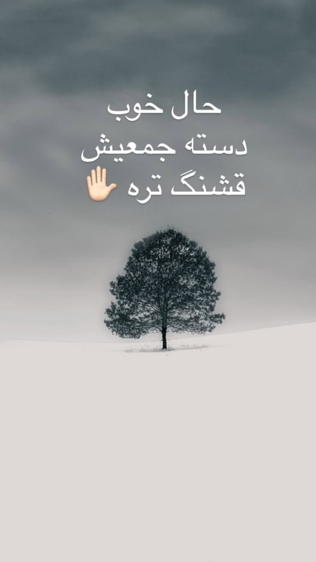  جدید ترین استوری اینستاگرام مرجان ماهینی