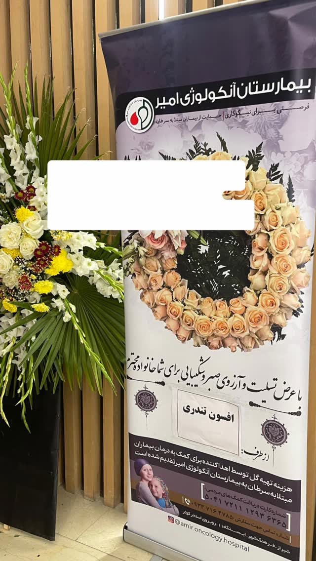  جدید ترین استوری اینستاگرام مرجان ماهینی