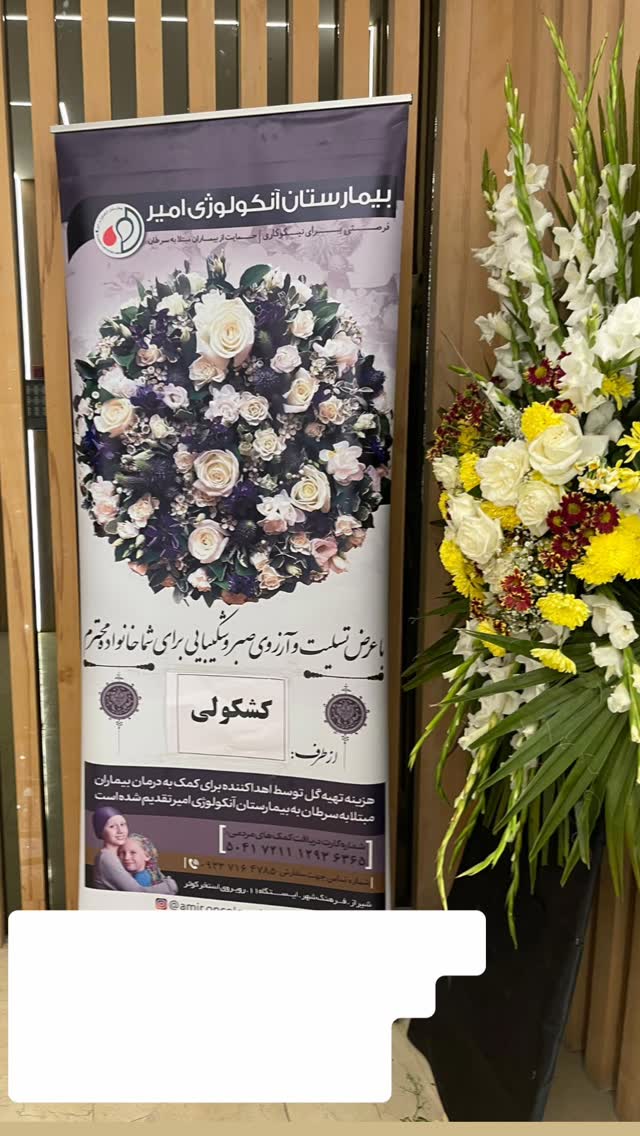  جدید ترین استوری اینستاگرام مرجان ماهینی