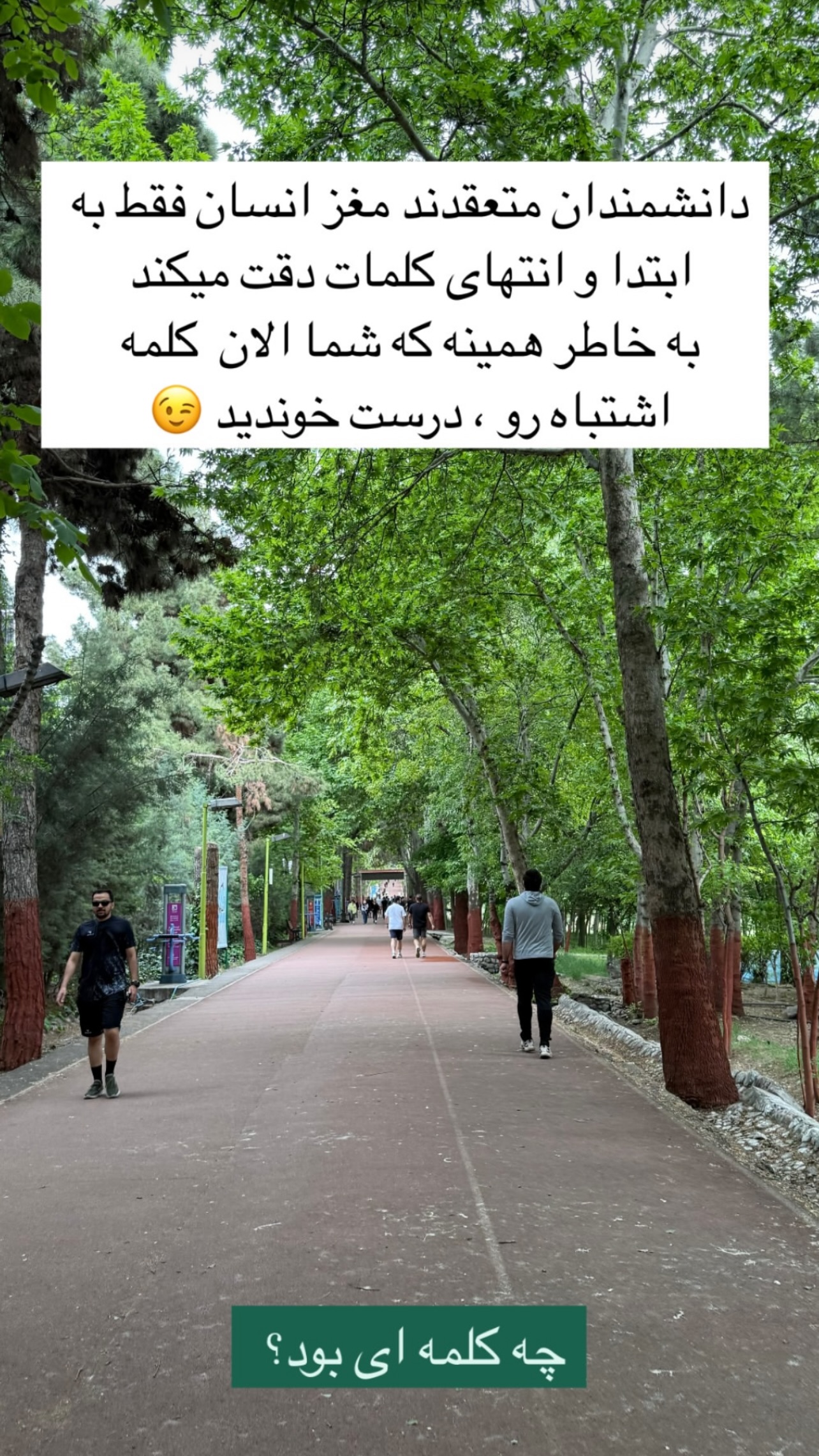  جدید ترین استوری اینستاگرام مریم سلطانی