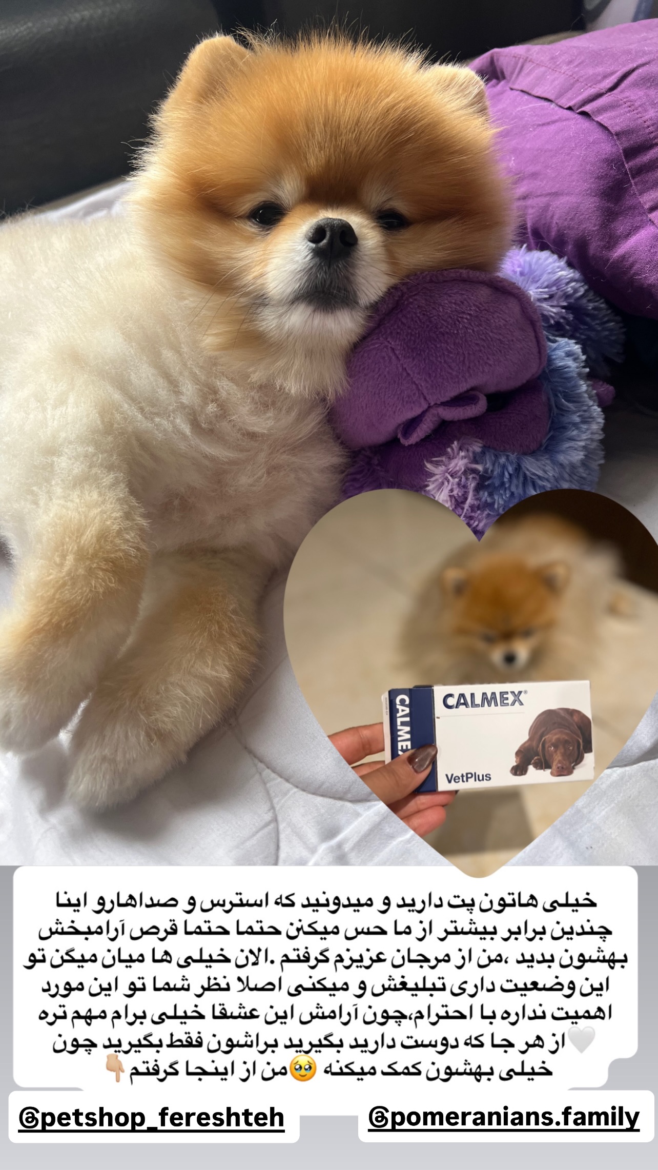  جدید ترین استوری اینستاگرام مریم سلطانی