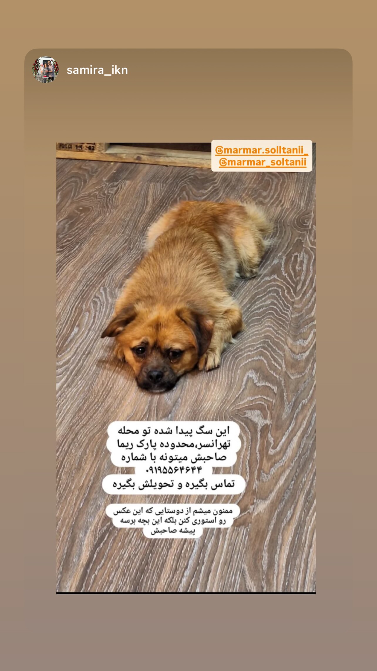  جدید ترین استوری اینستاگرام مریم سلطانی
