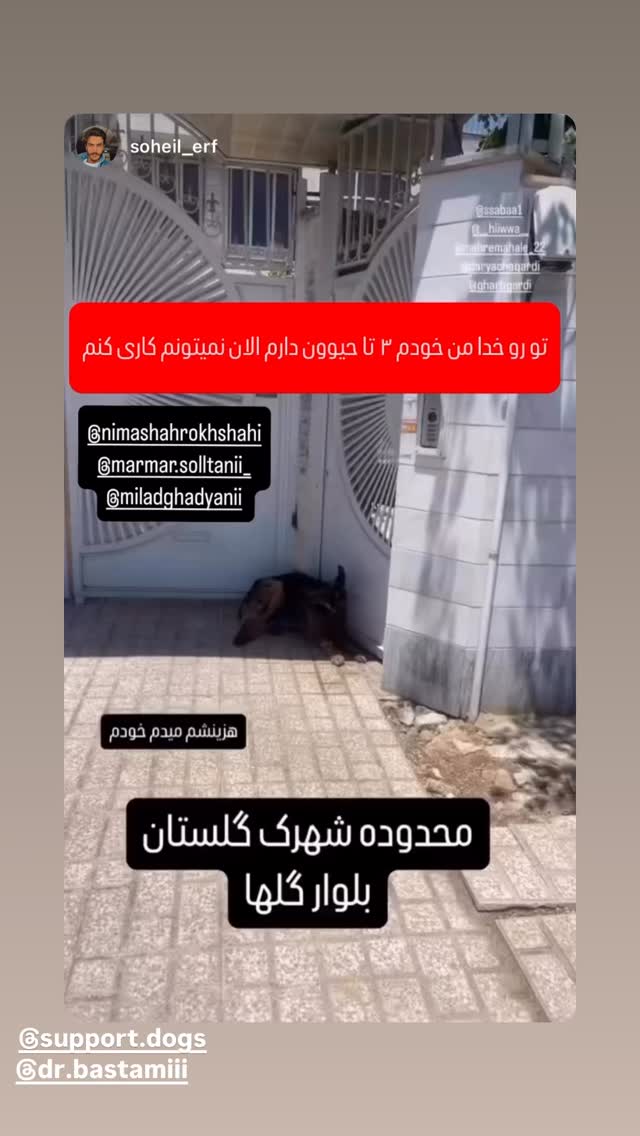  جدید ترین استوری اینستاگرام مریم سلطانی