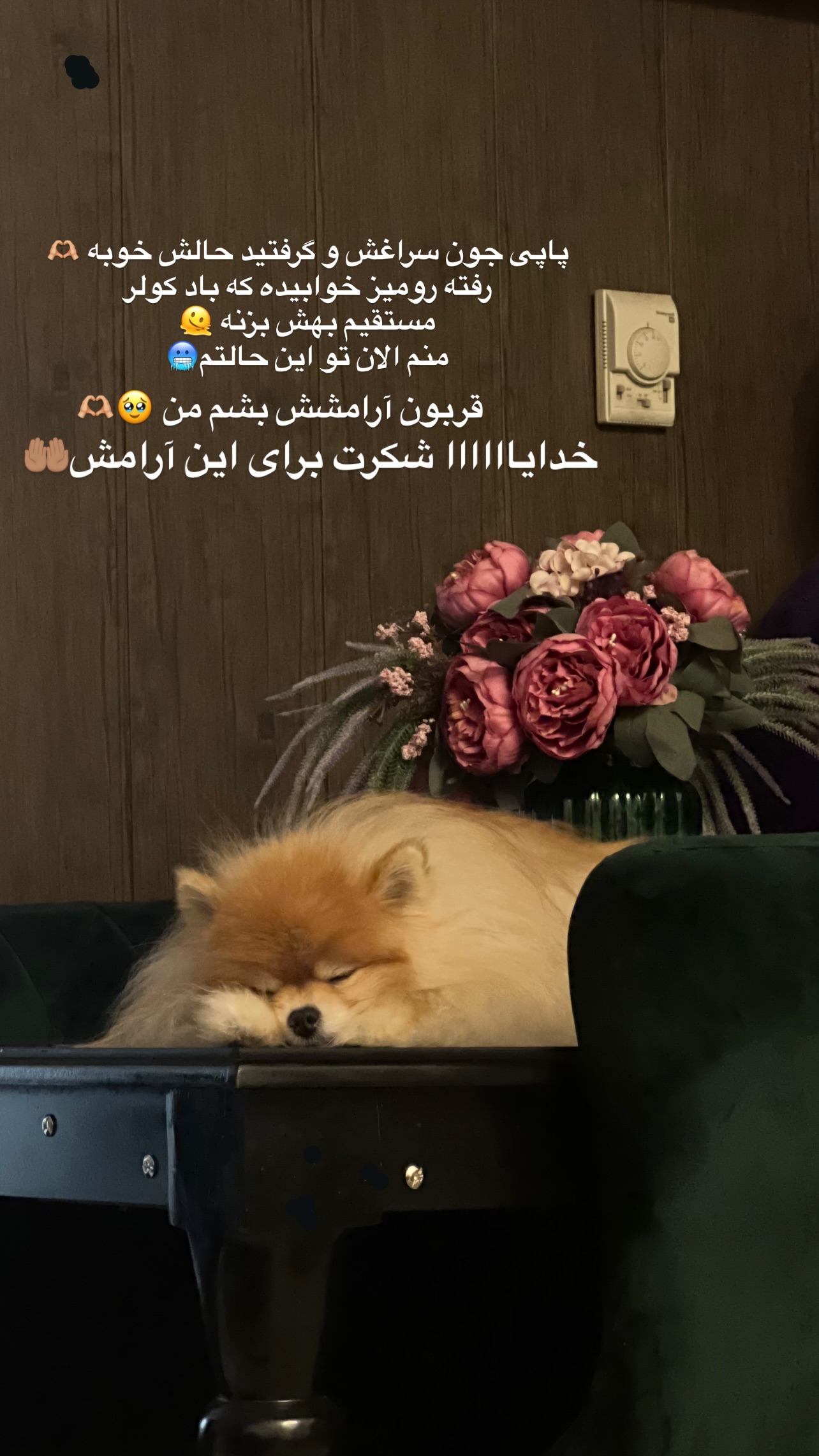  جدید ترین استوری اینستاگرام مریم سلطانی