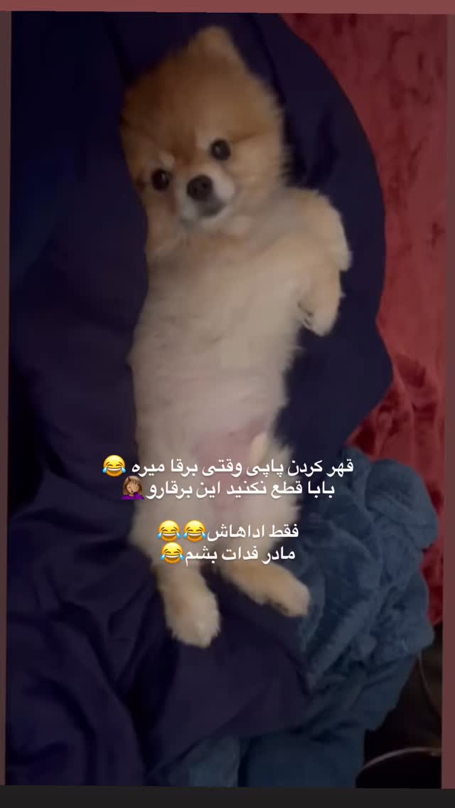  جدید ترین استوری اینستاگرام مریم سلطانی