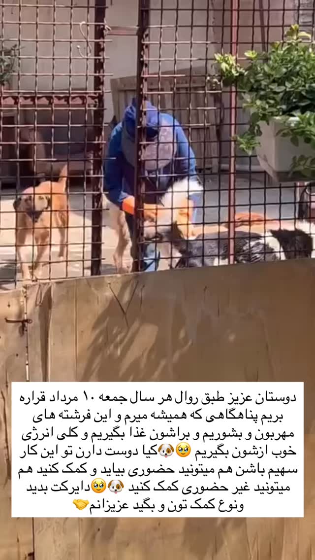  جدید ترین استوری اینستاگرام مریم سلطانی