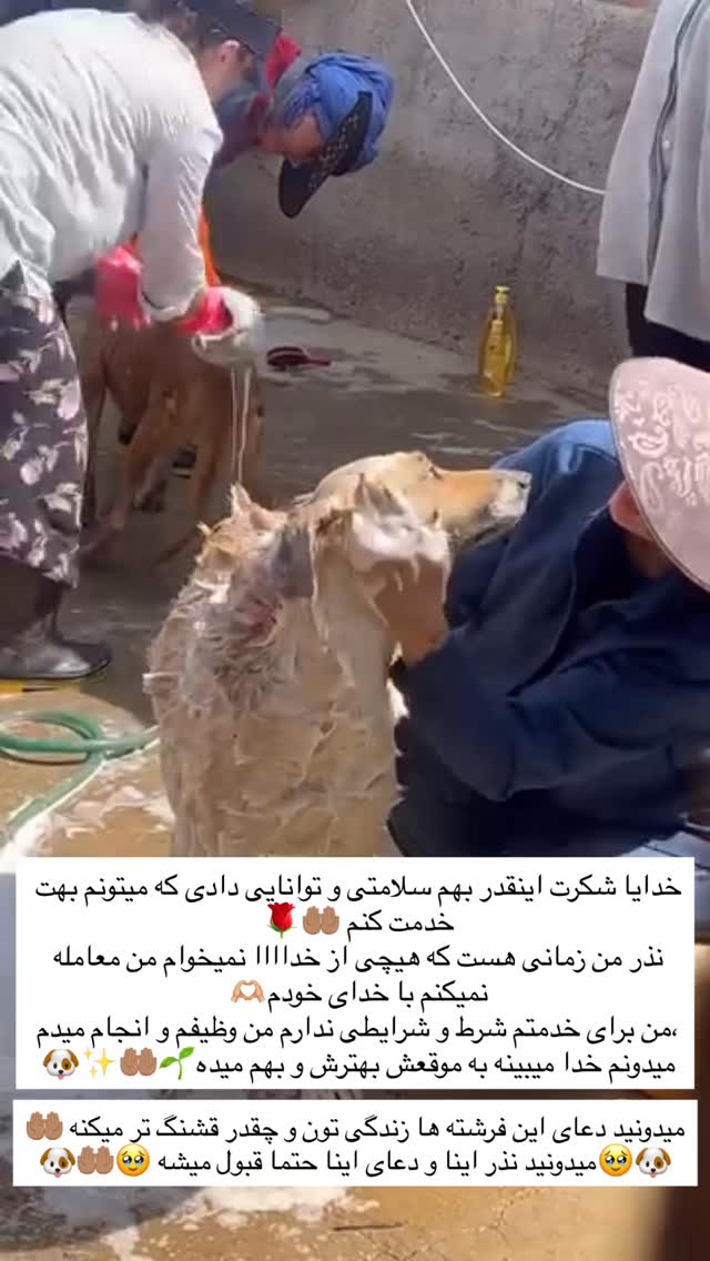  جدید ترین استوری اینستاگرام مریم سلطانی