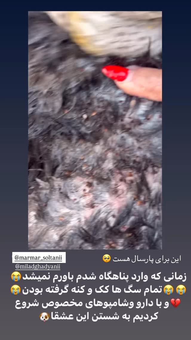  جدید ترین استوری اینستاگرام مریم سلطانی