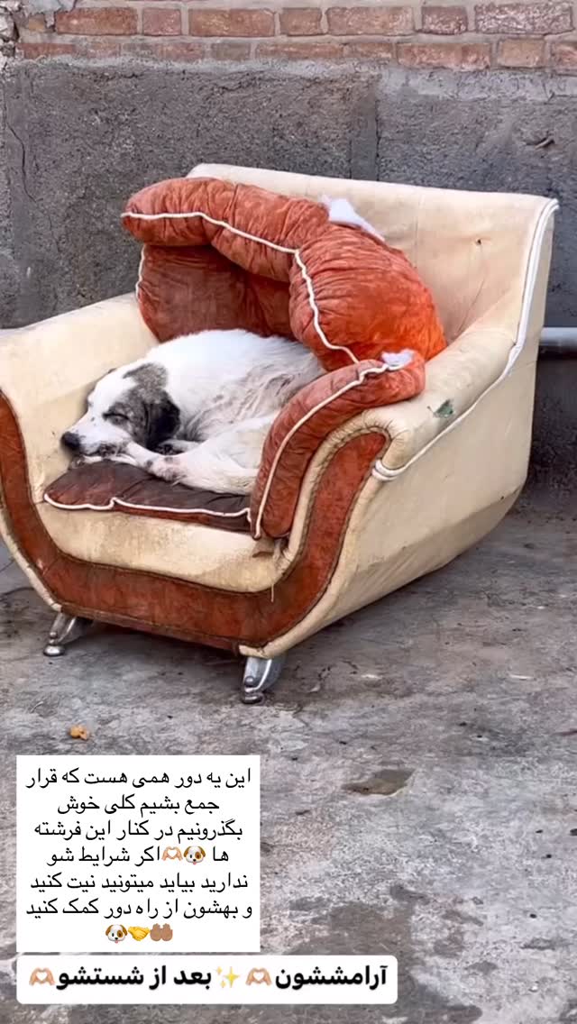  جدید ترین استوری اینستاگرام مریم سلطانی