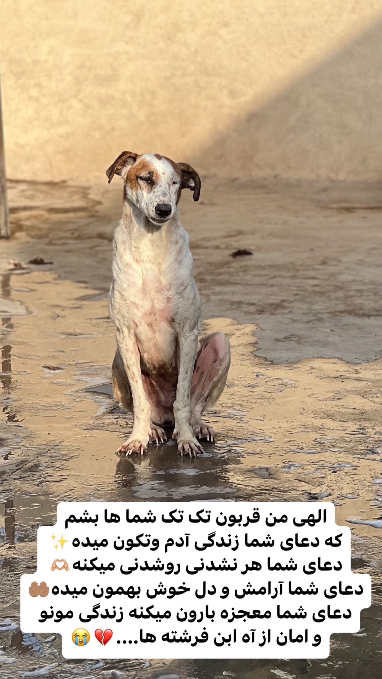  جدید ترین استوری اینستاگرام مریم سلطانی