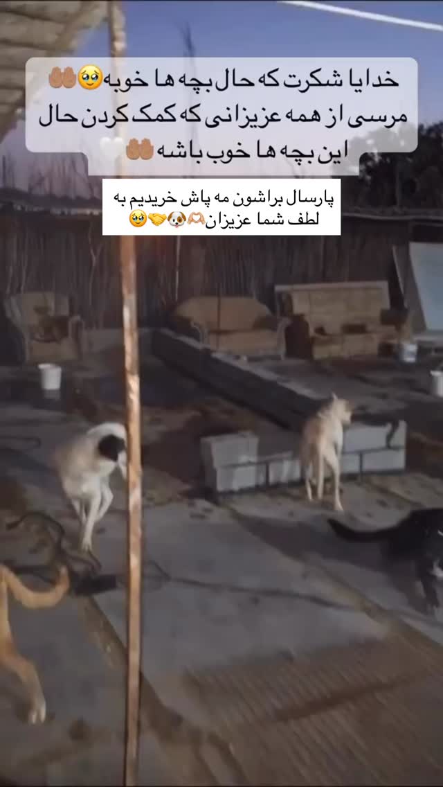  جدید ترین استوری اینستاگرام مریم سلطانی
