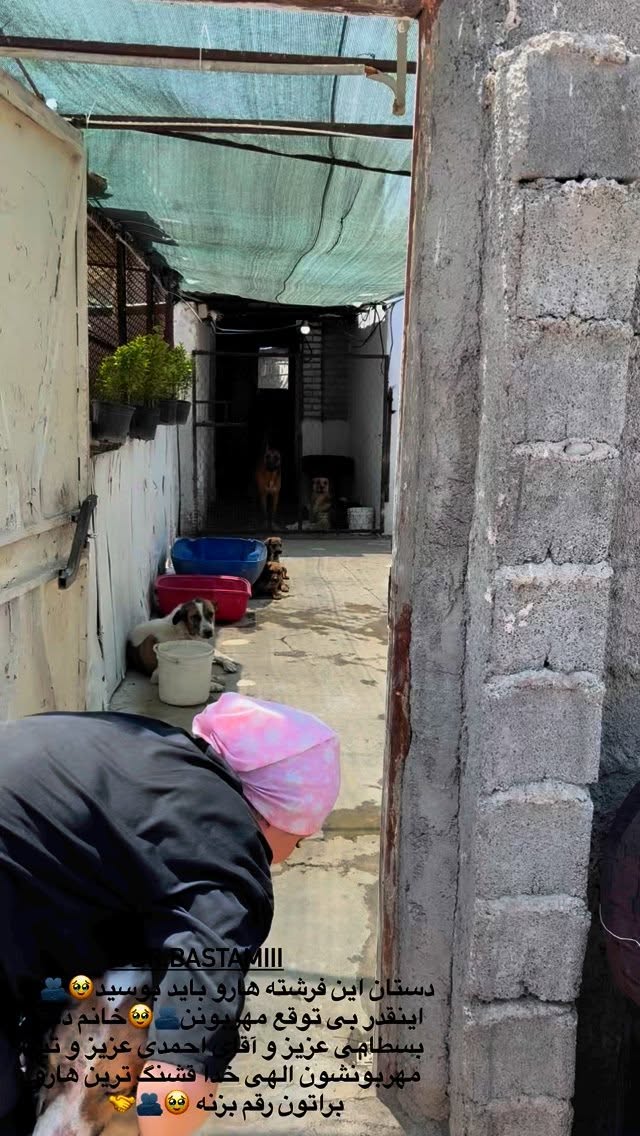  جدید ترین استوری اینستاگرام مریم سلطانی