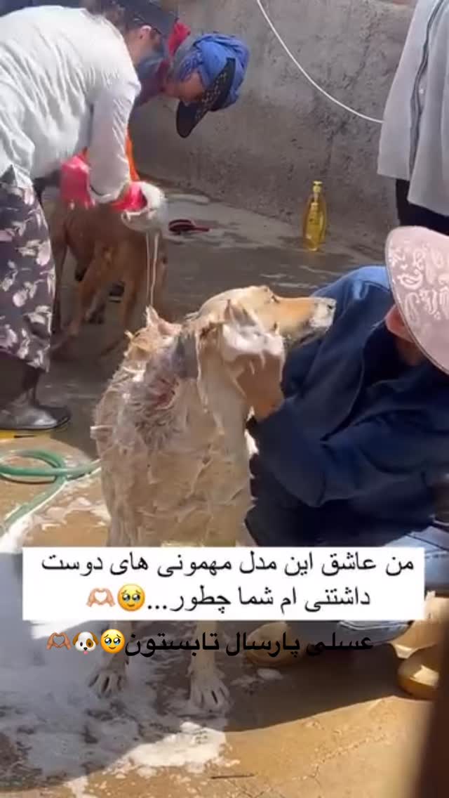  جدید ترین استوری اینستاگرام مریم سلطانی