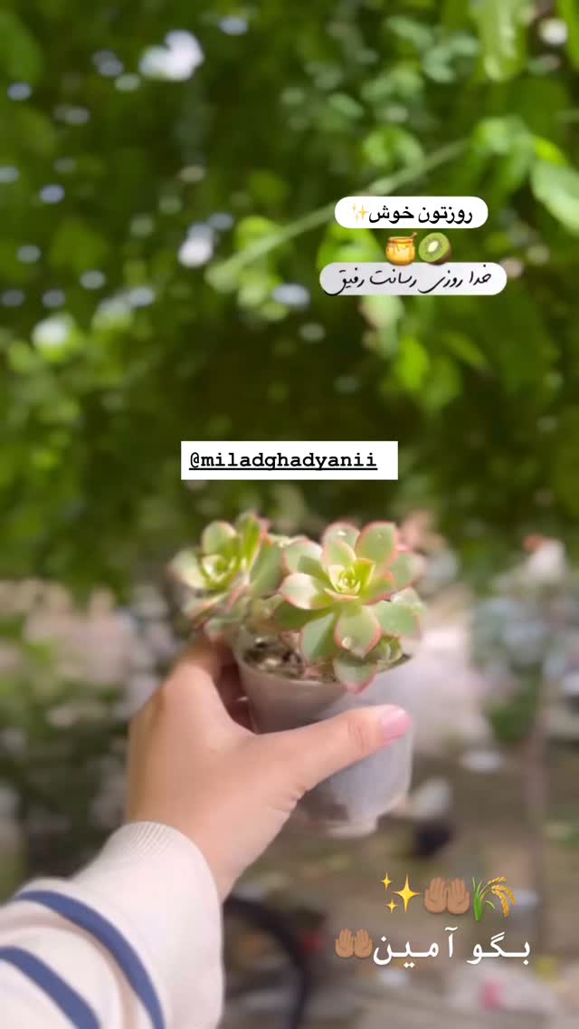  جدید ترین استوری اینستاگرام مریم سلطانی
