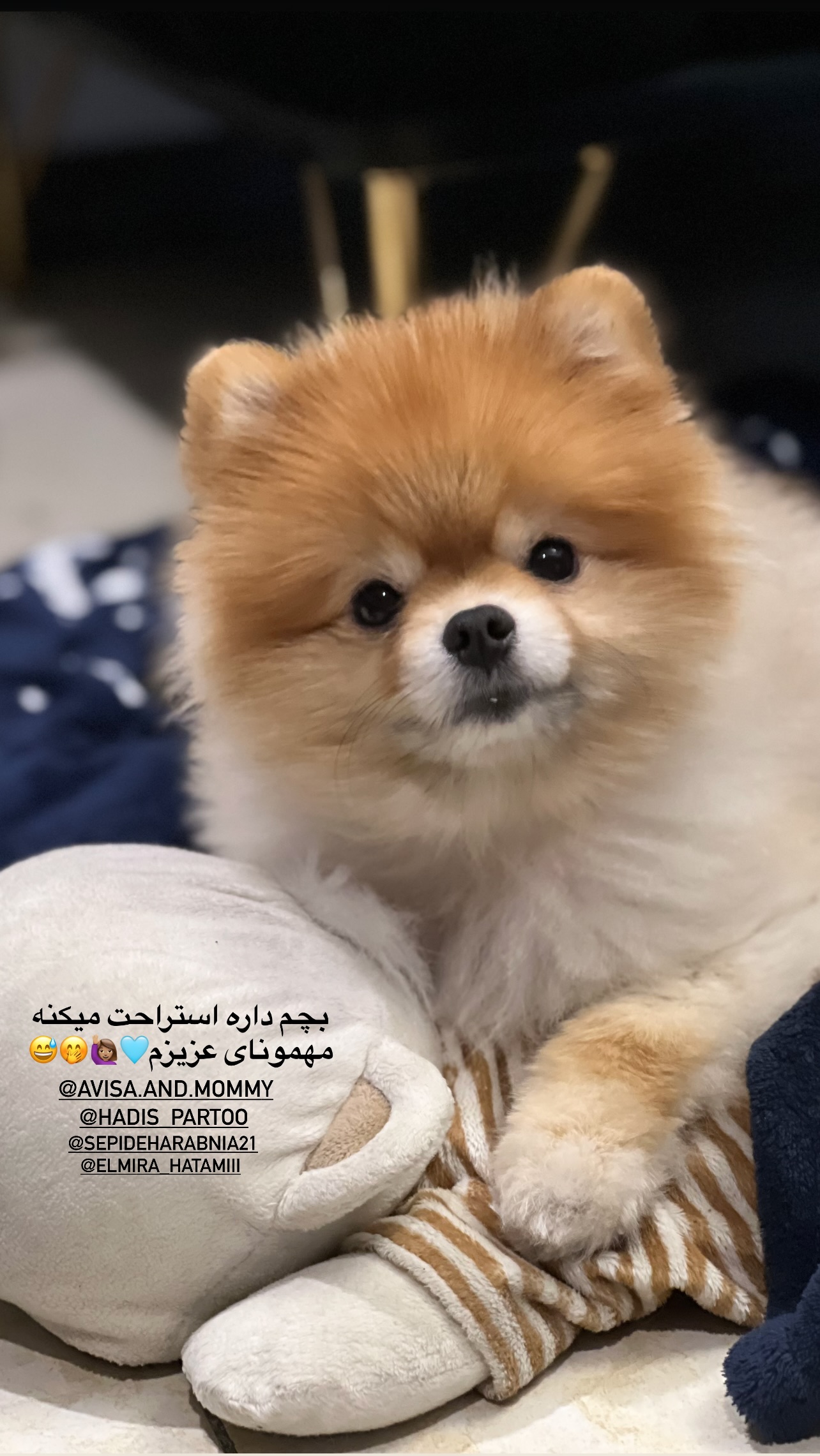 جدید ترین استوری اینستاگرام مریم سلطانی