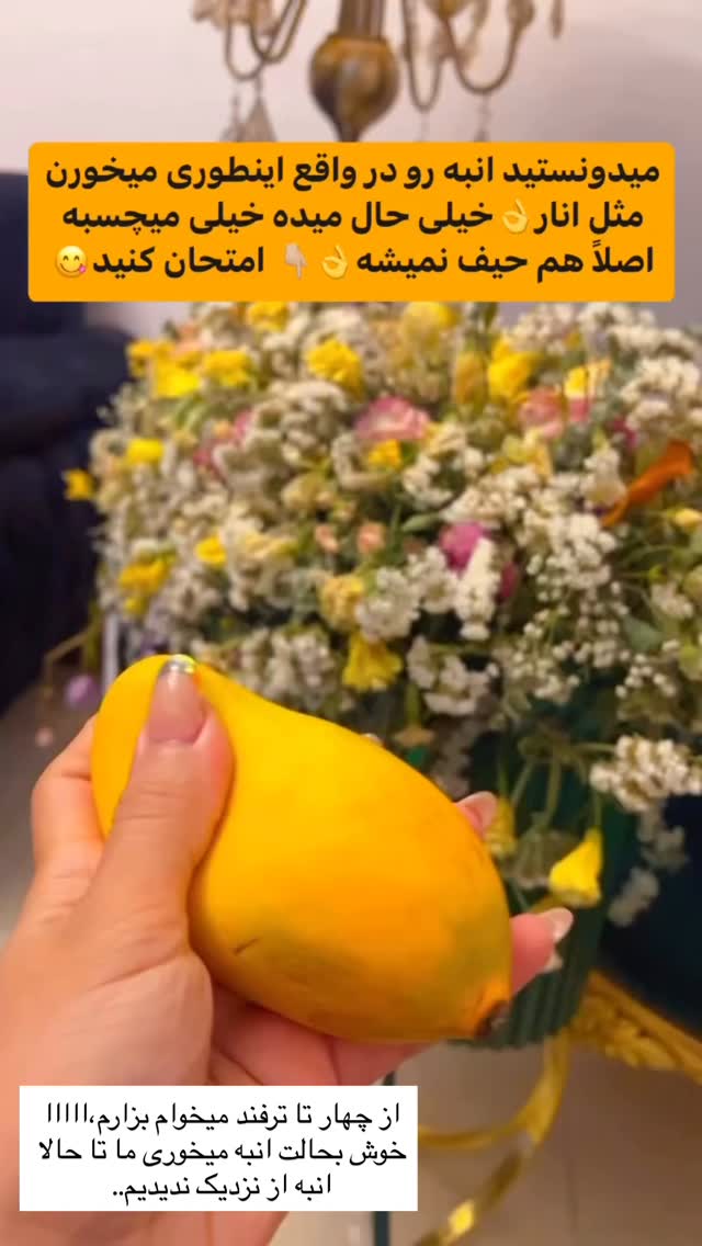  جدید ترین استوری اینستاگرام مریم سلطانی