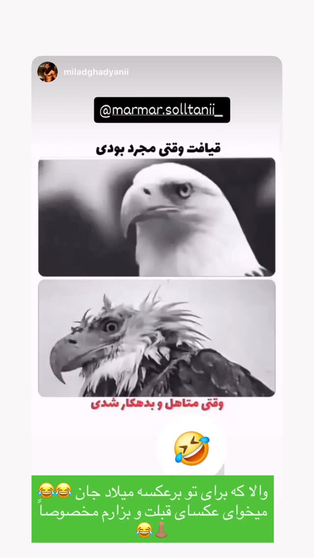  جدید ترین استوری اینستاگرام مریم سلطانی