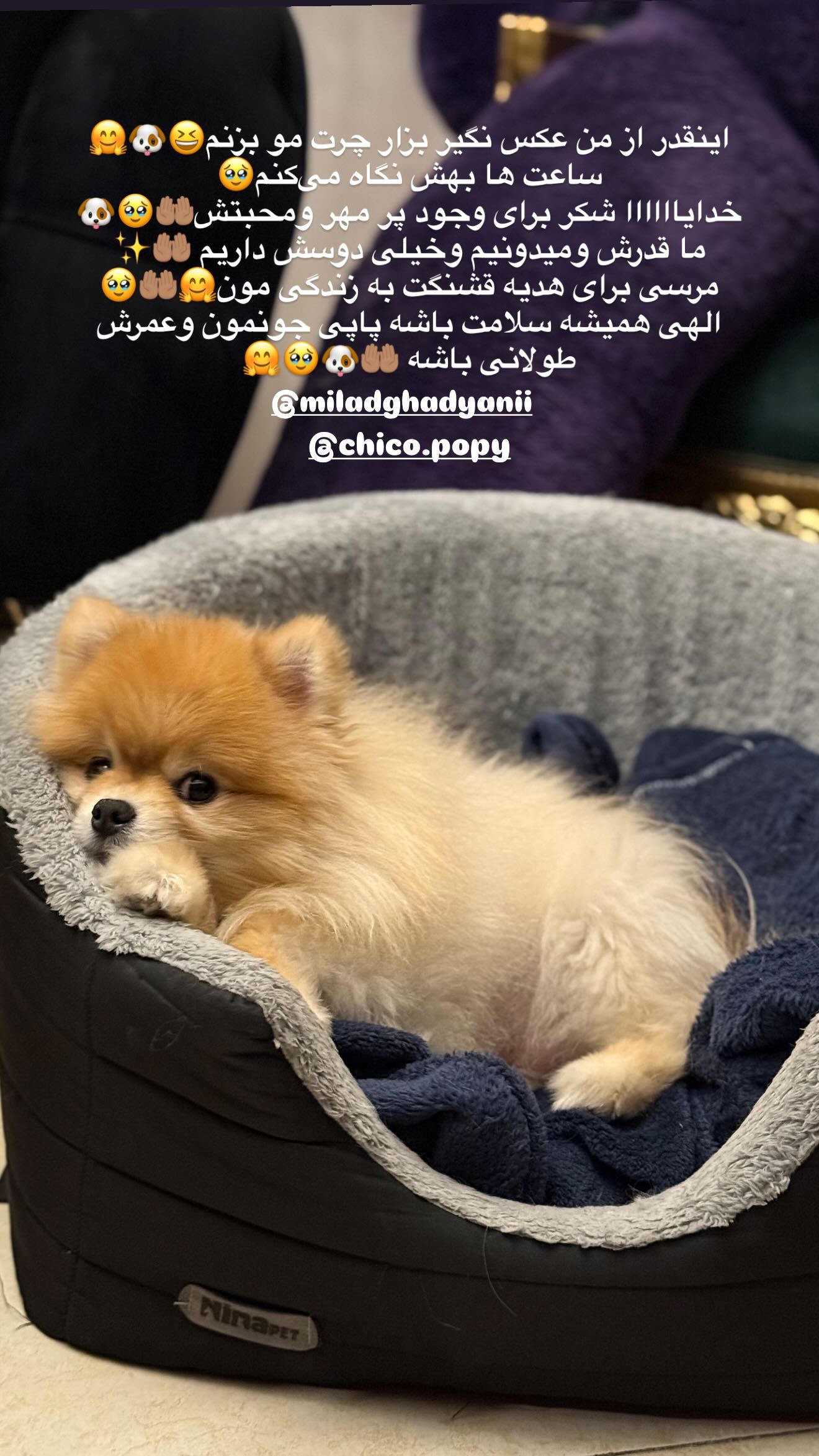  جدید ترین استوری اینستاگرام مریم سلطانی