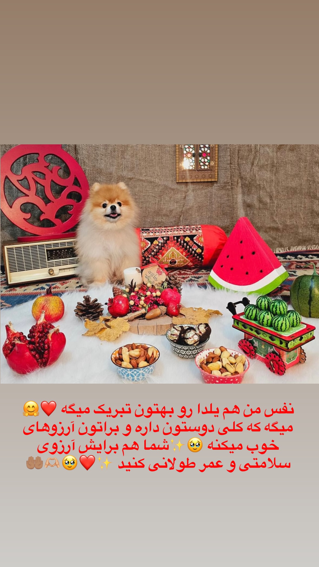  جدید ترین استوری اینستاگرام مریم سلطانی