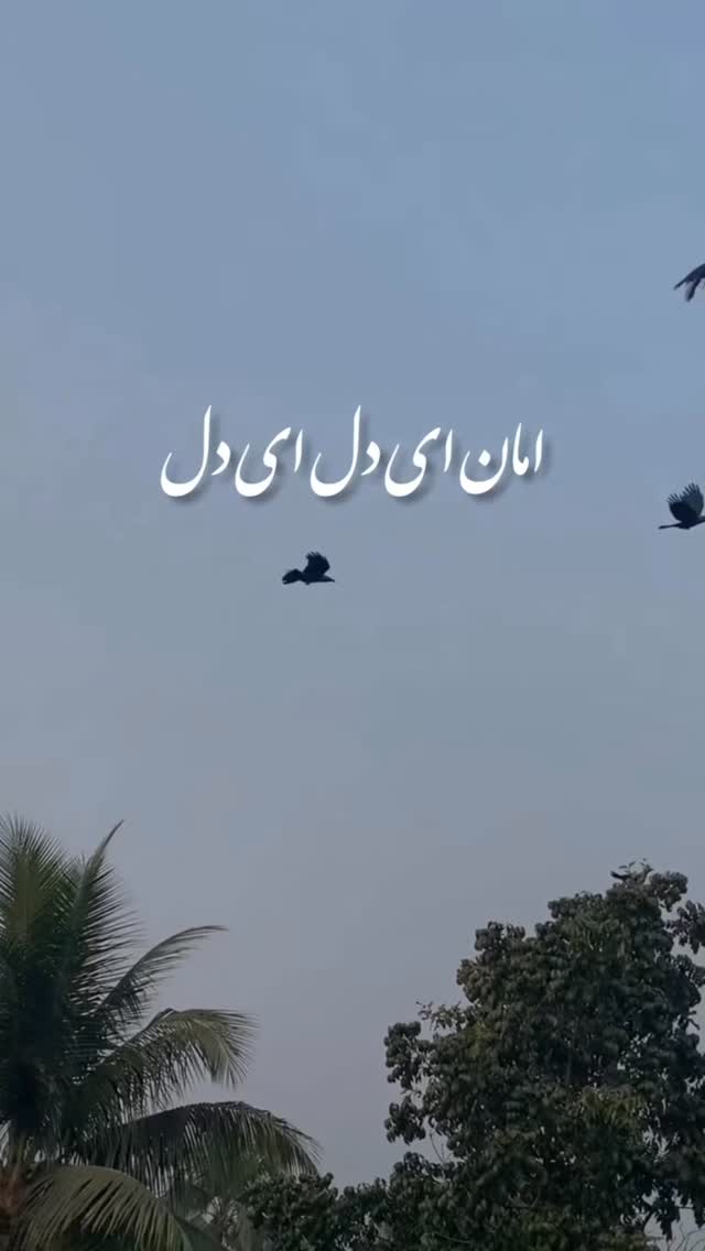  جدید ترین استوری اینستاگرام مریم سلطانی