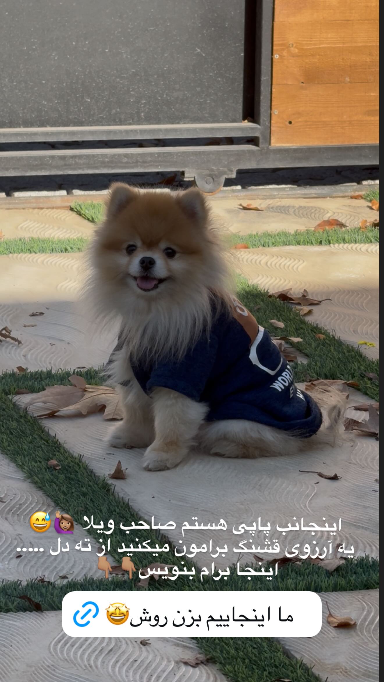  جدید ترین استوری اینستاگرام مرمر سلطانى