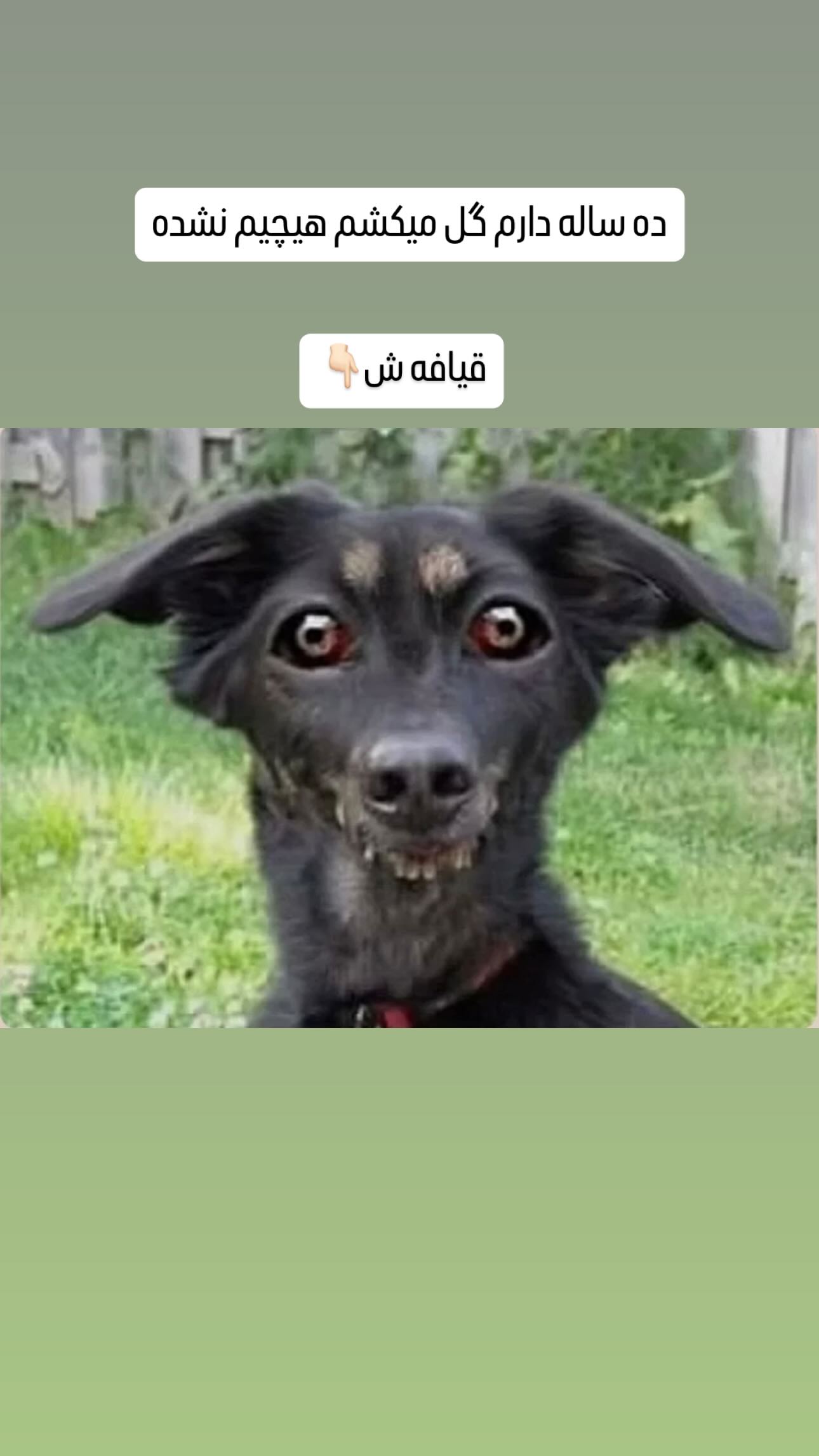  جدید ترین استوری اینستاگرام ماری هاشمی