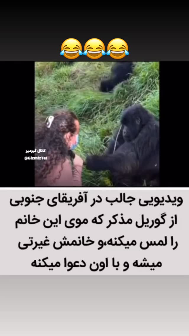  جدید ترین استوری اینستاگرام ماری هاشمی