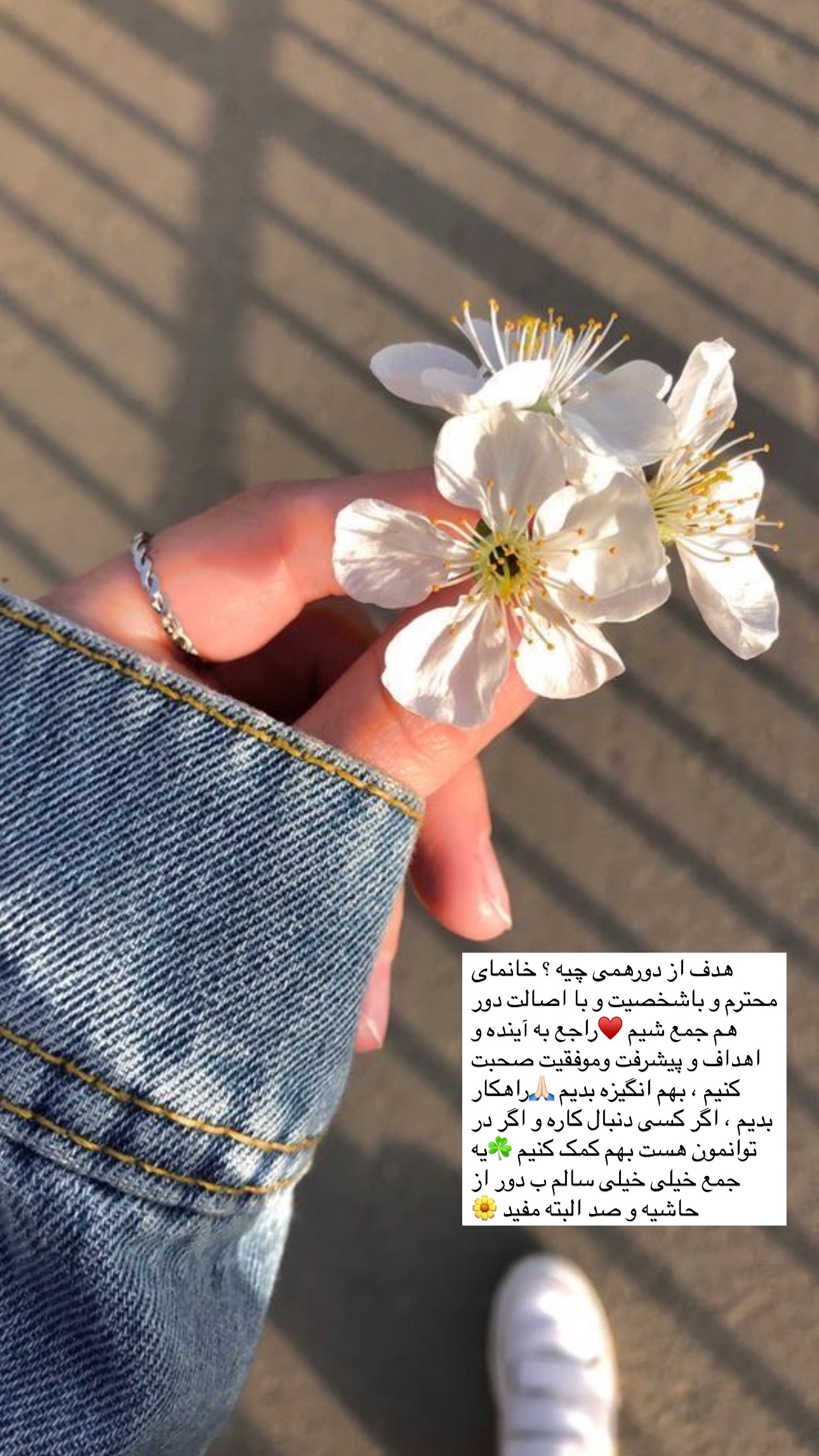  جدید ترین استوری اینستاگرام مریم حضرتی