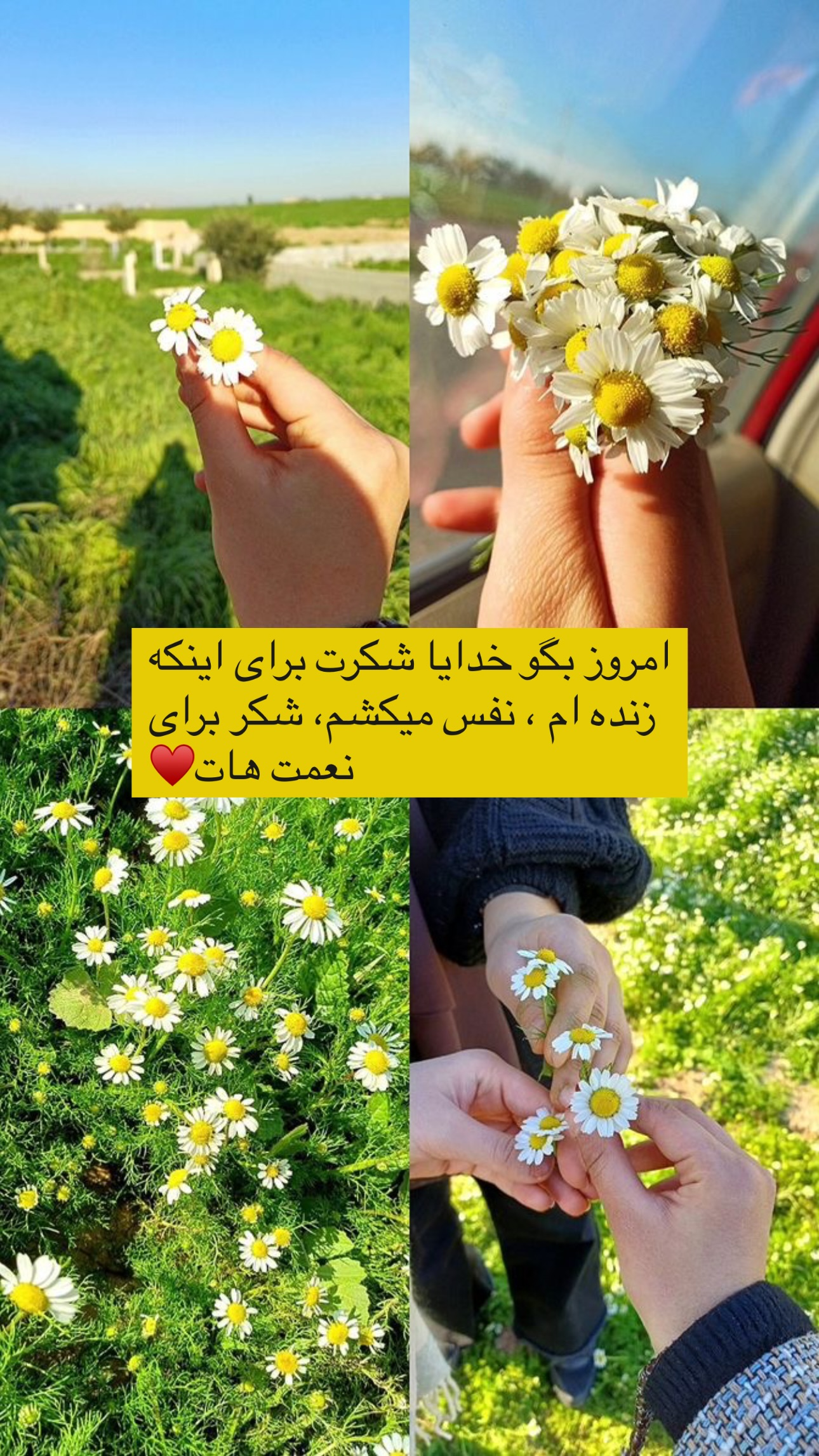  جدید ترین استوری اینستاگرام مریم حضرتی