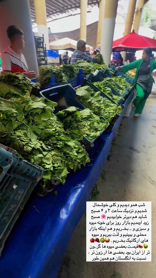  جدید ترین استوری اینستاگرام مریم حضرتی