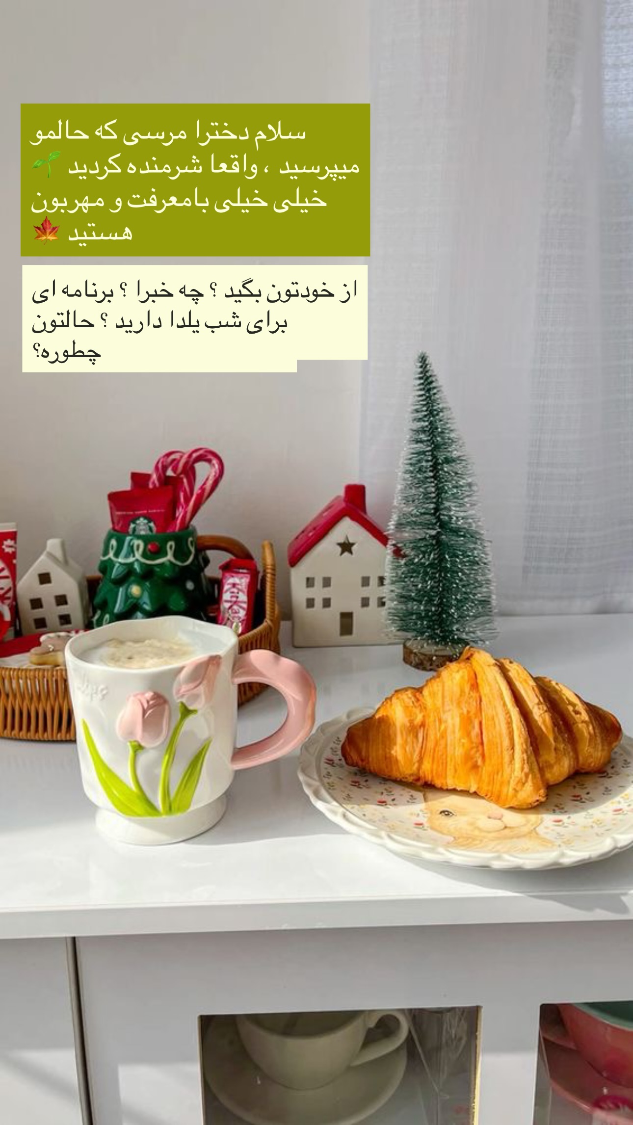  جدید ترین استوری اینستاگرام مریم حضرتی