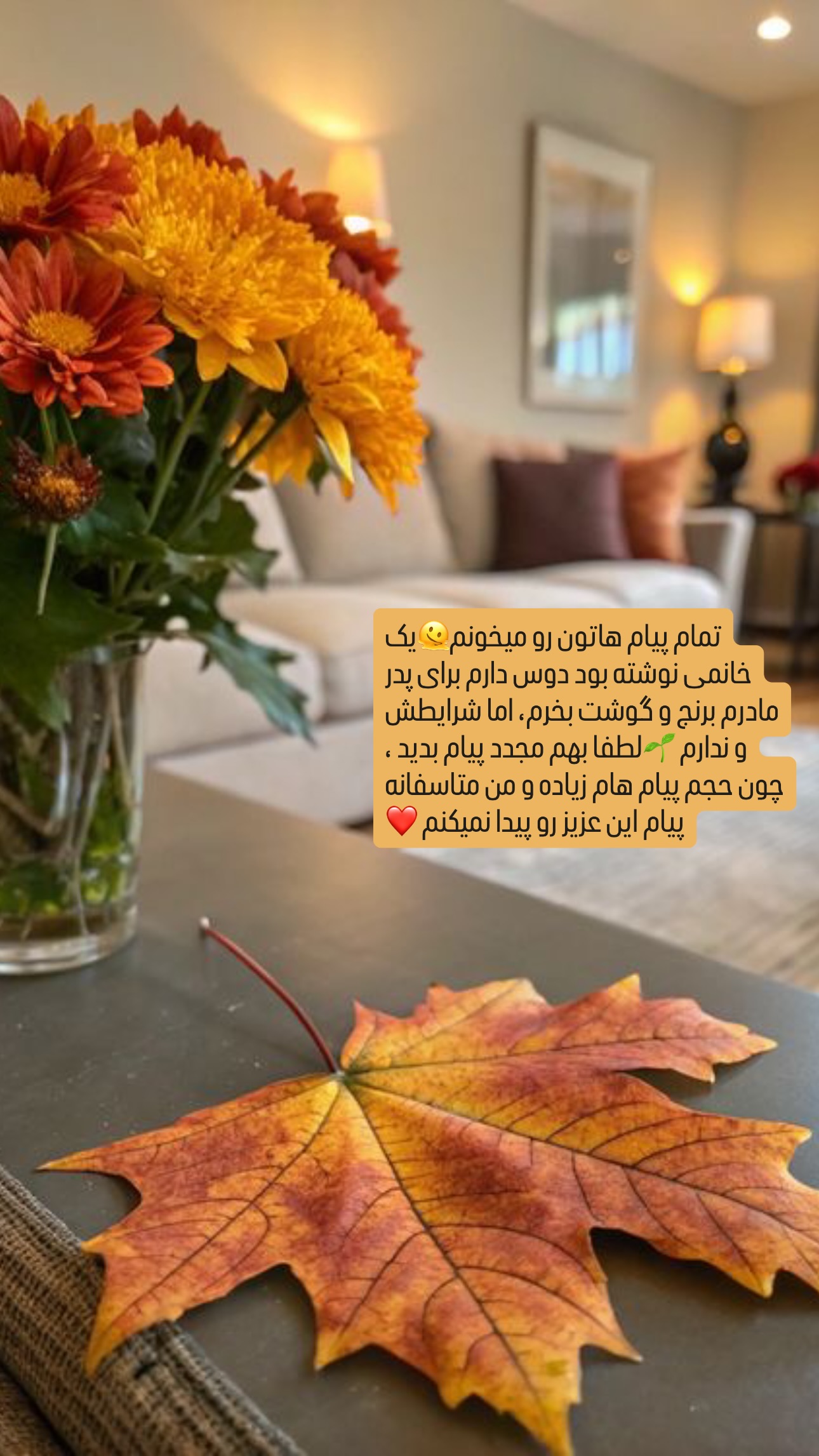  جدید ترین استوری اینستاگرام مریم حضرتی