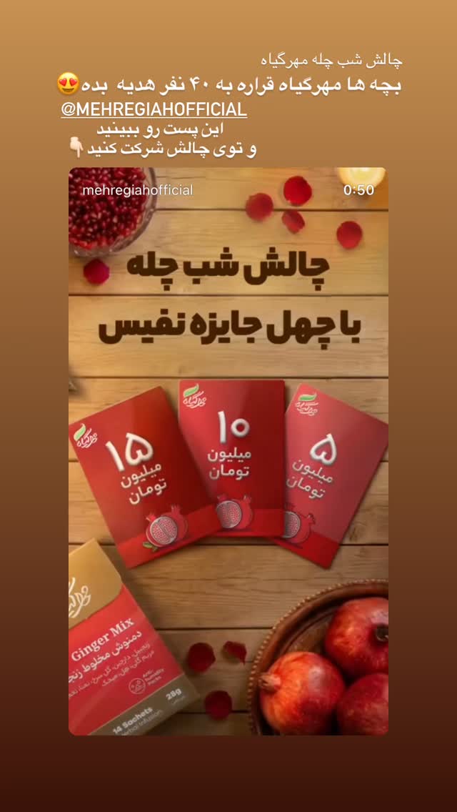  جدید ترین استوری اینستاگرام مریم محبی