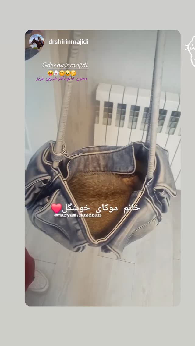  جدید ترین استوری اینستاگرام مریم ناظران