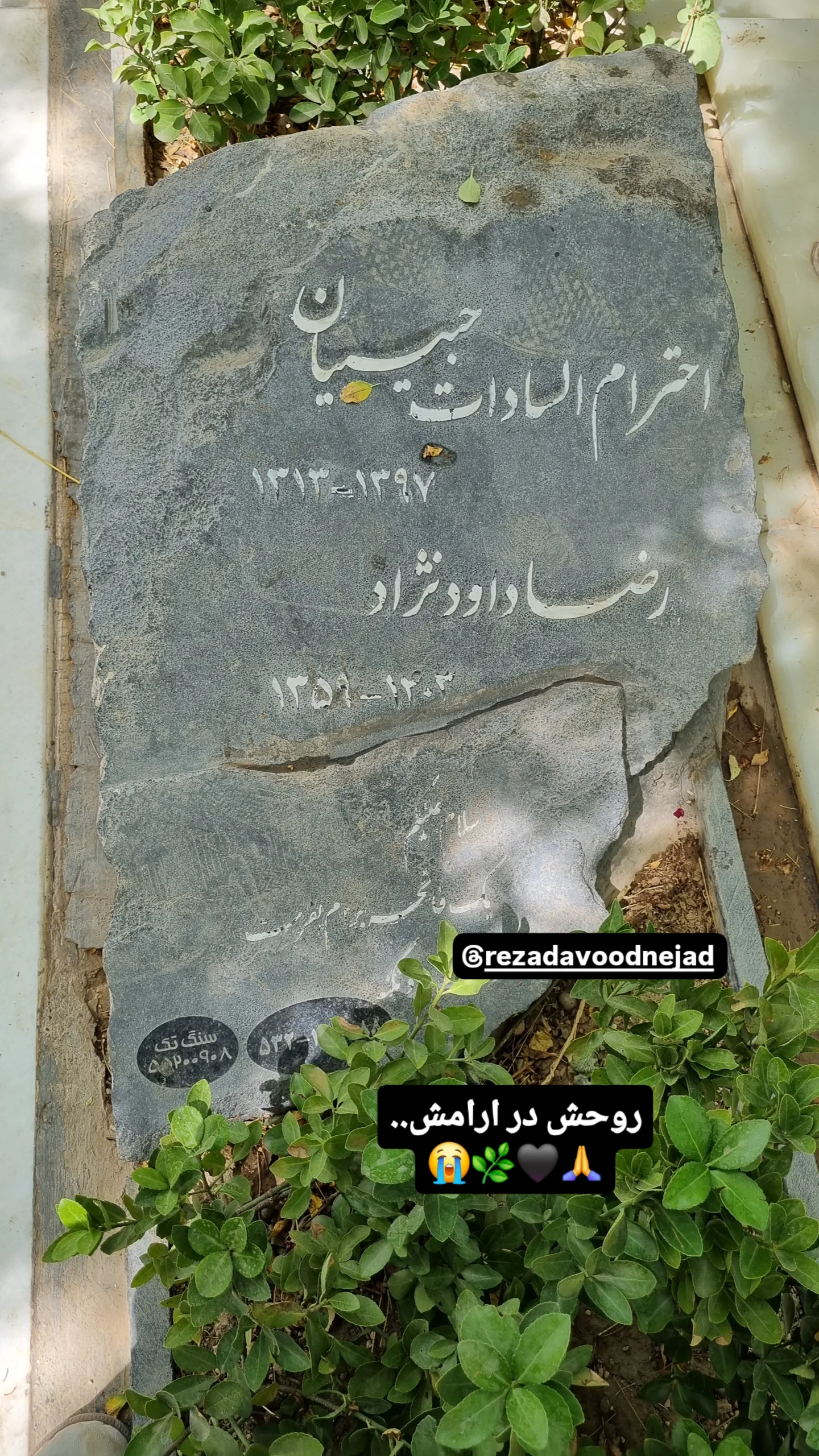  جدید ترین استوری اینستاگرام مریم ناظران