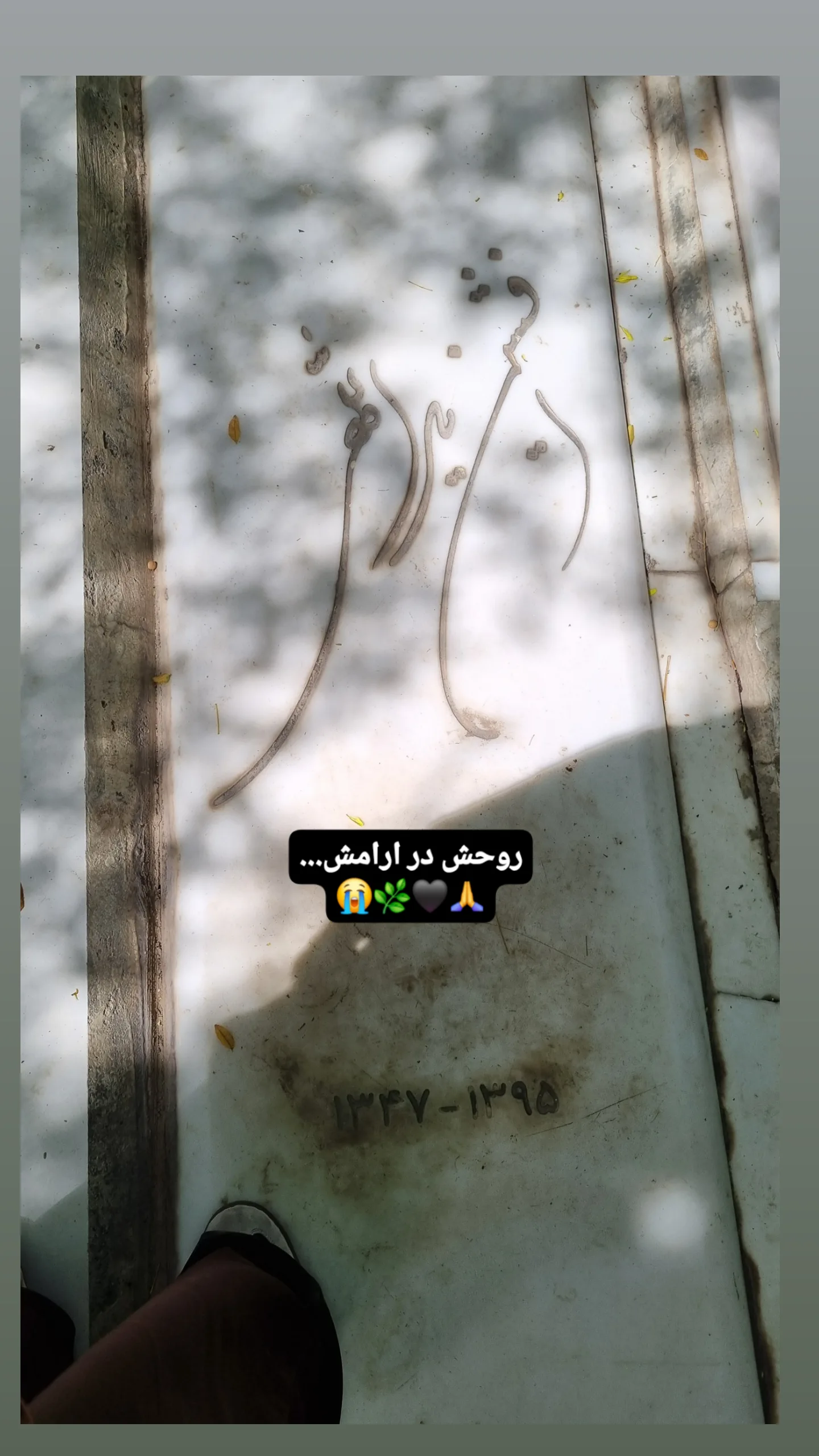  جدید ترین استوری اینستاگرام مریم ناظران