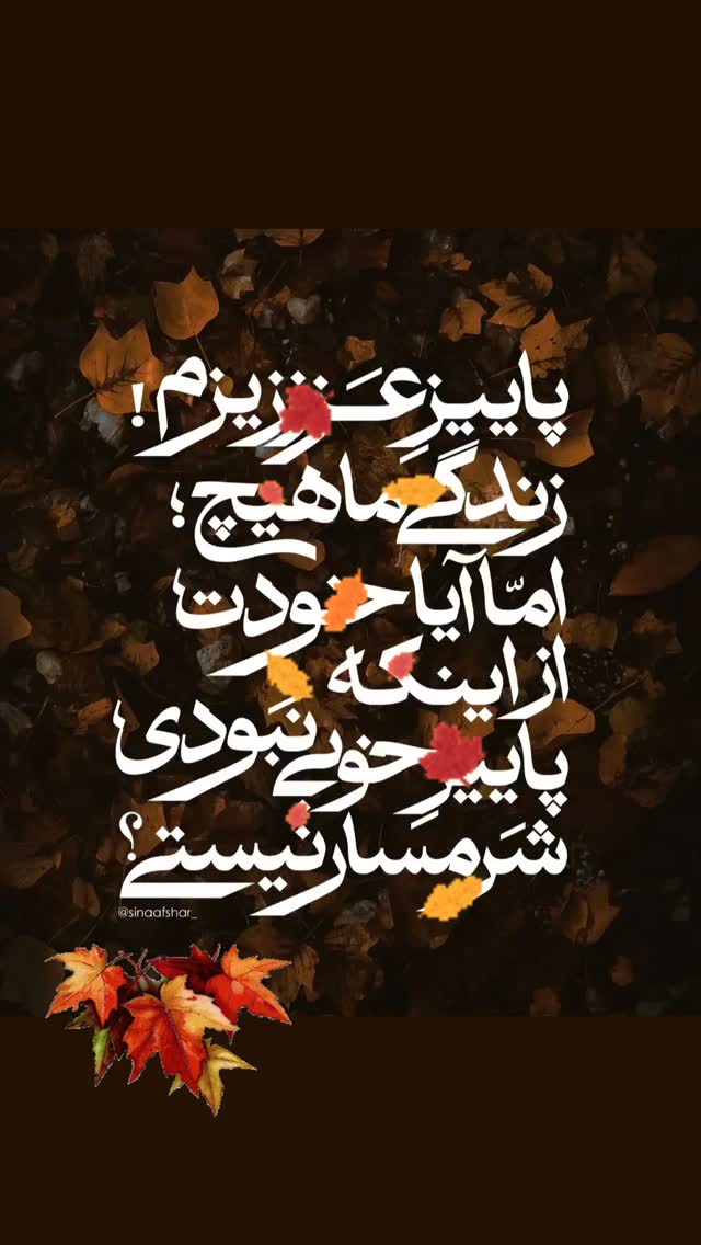  جدید ترین استوری اینستاگرام مریم ناظران