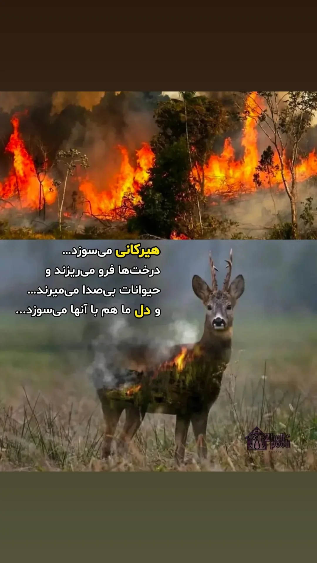  جدید ترین استوری اینستاگرام مریم ناظران