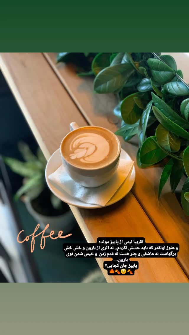  جدید ترین استوری اینستاگرام مریم ناظران