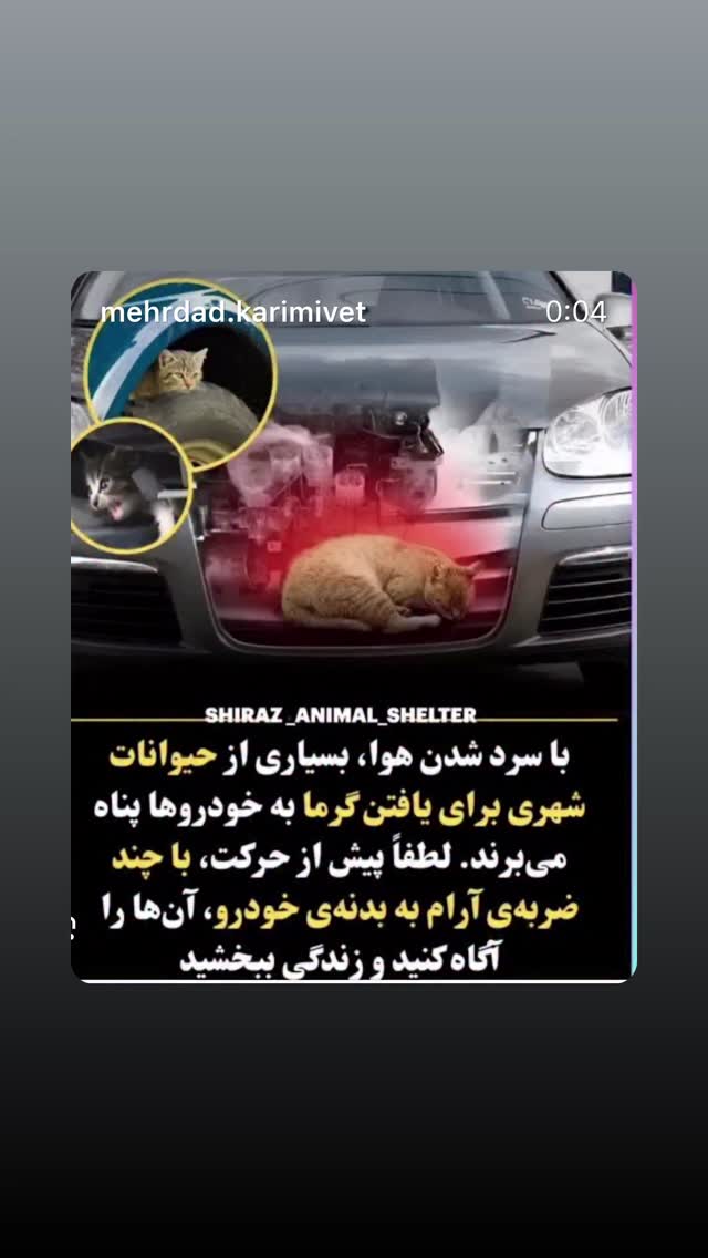  جدید ترین استوری اینستاگرام مریم شیرازی