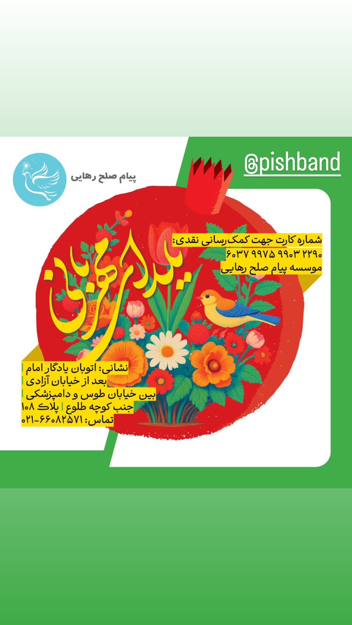  جدید ترین استوری اینستاگرام مریم شیرازی