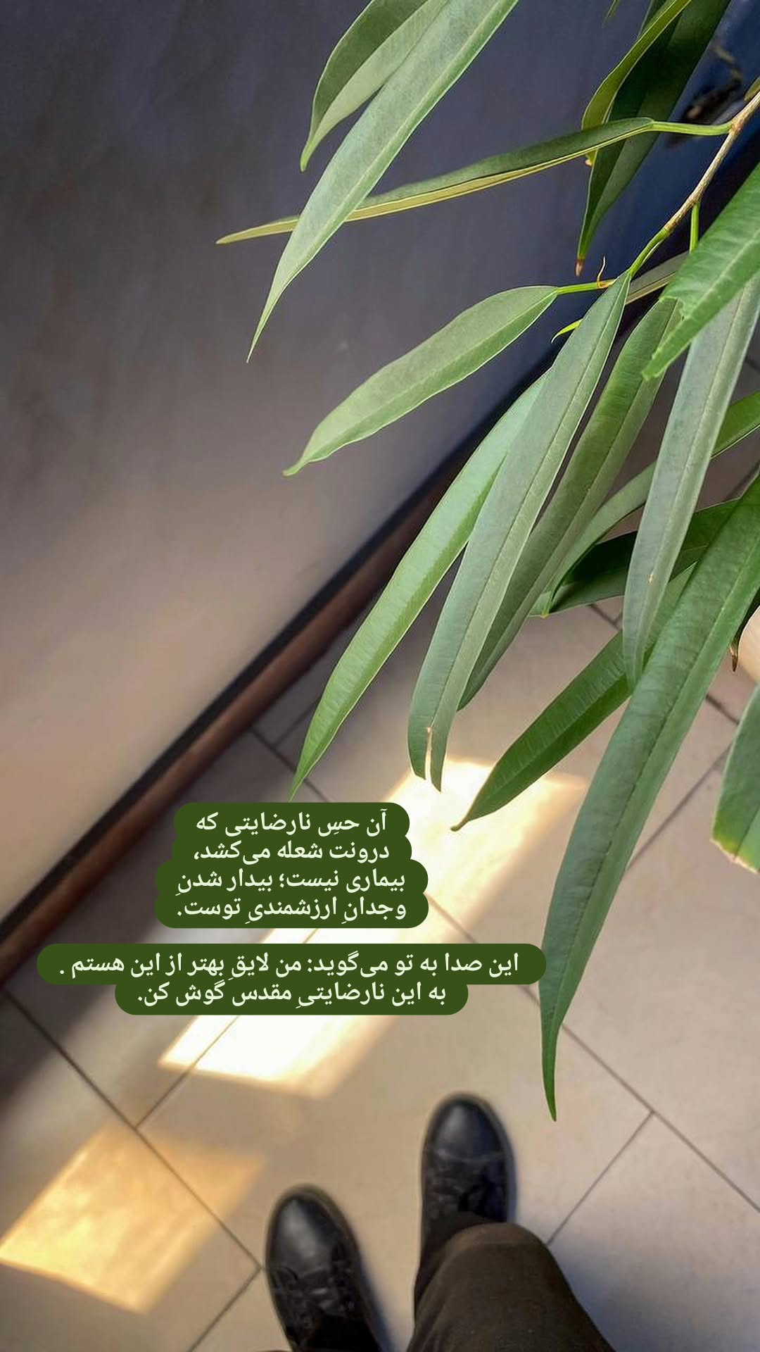  جدید ترین استوری اینستاگرام مریم وطن پور
